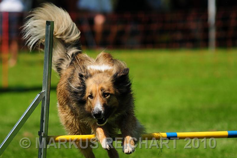 DSC_8855.jpg