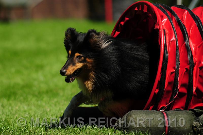 DSC_9230.jpg
