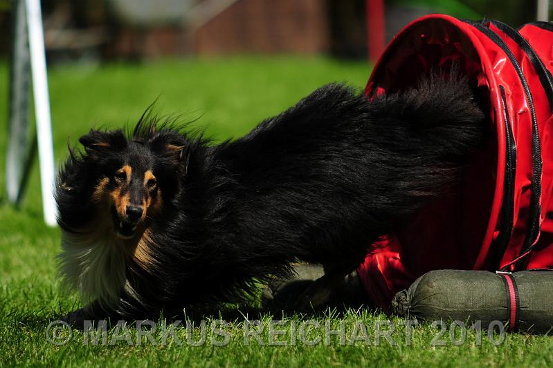 DSC_9231.jpg