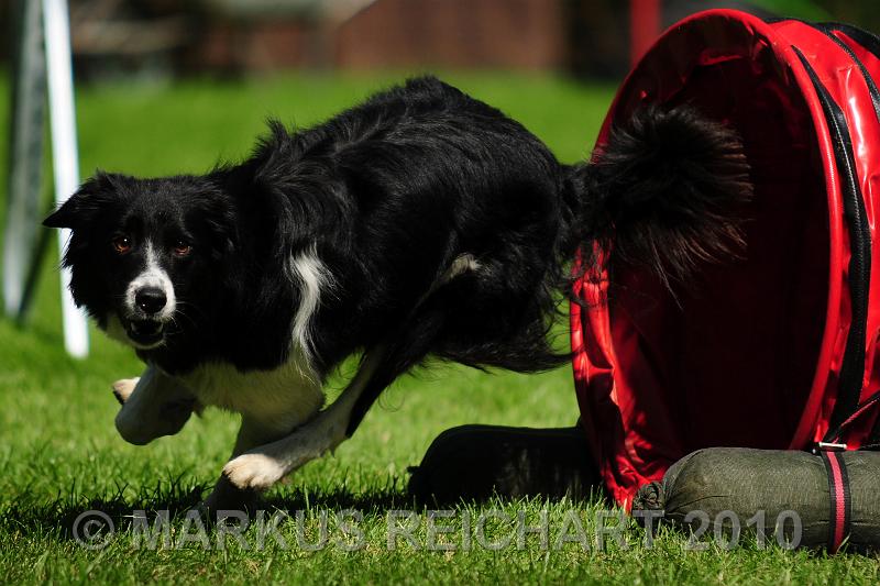 DSC_9263.jpg