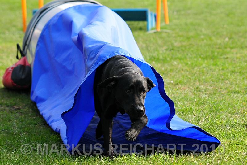 DSC_5648.jpg