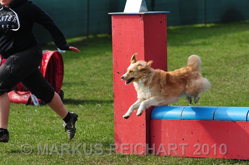 DSC_5676.jpg