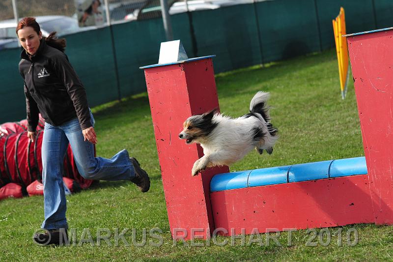 DSC_5681.jpg