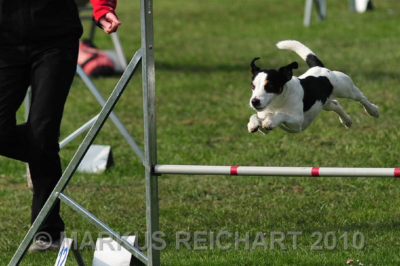 DSC_5688.jpg