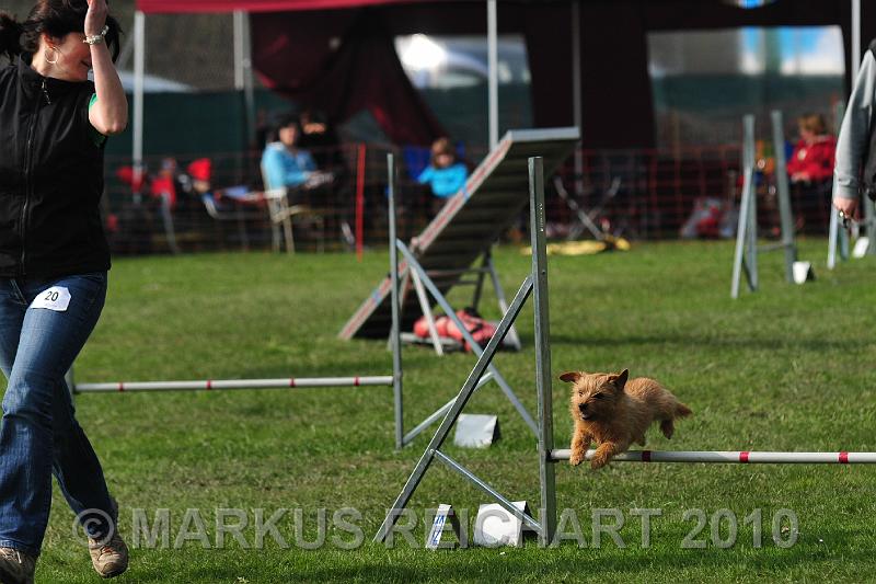 DSC_5700.jpg