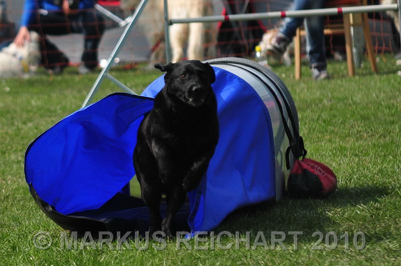DSC_5733.jpg