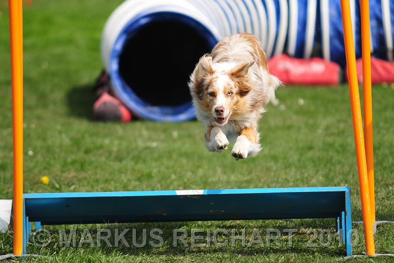 DSC_5935.jpg
