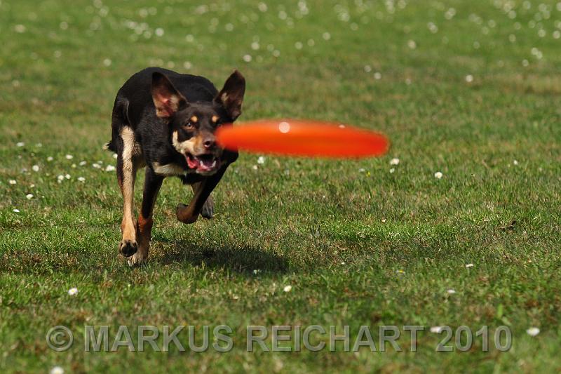 DSC_6085.jpg