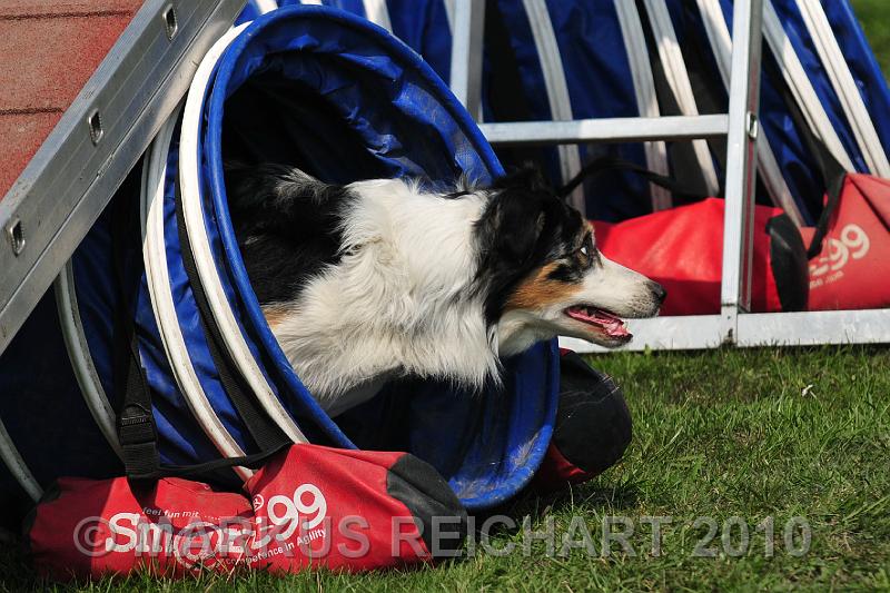 DSC_6189.jpg