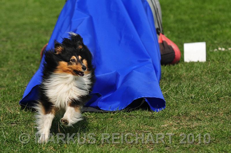 DSC_6323.jpg