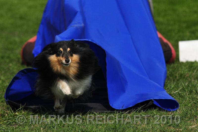 DSC_6352.jpg