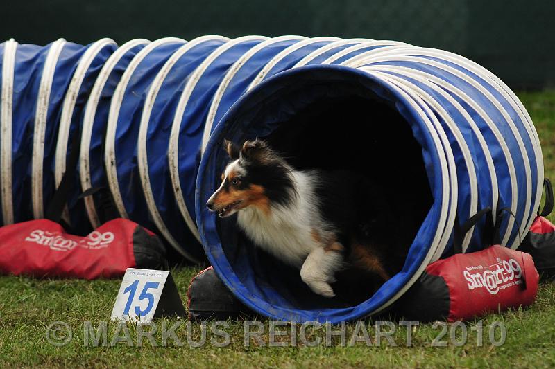 DSC_6391.jpg