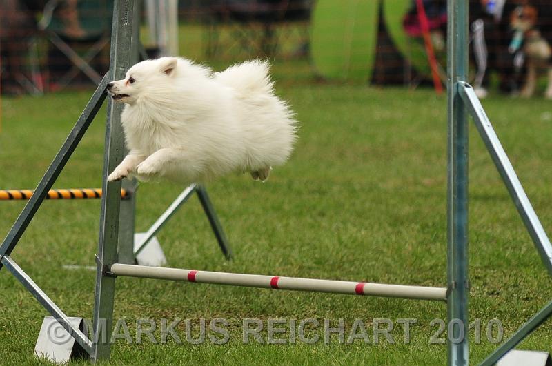 DSC_6450.jpg