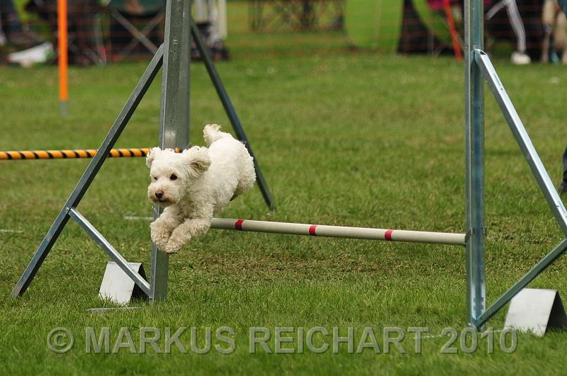 DSC_6471.jpg
