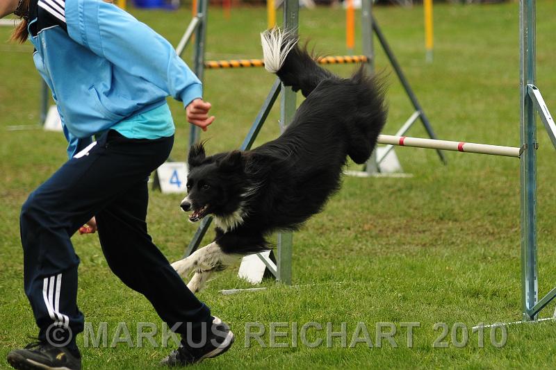 DSC_6618.jpg