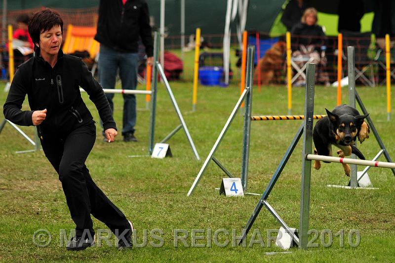 DSC_6636.jpg