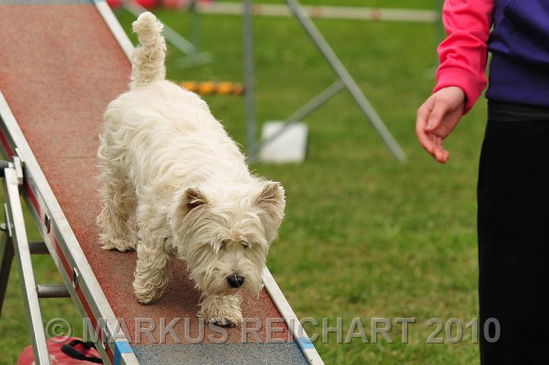 DSC_6668.jpg