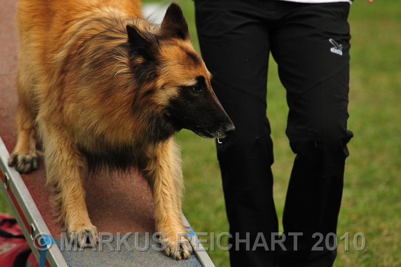 DSC_6711.jpg