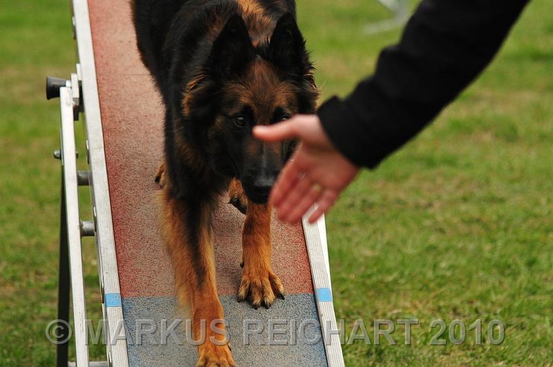 DSC_6720.jpg
