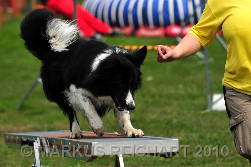 DSC_6762.jpg