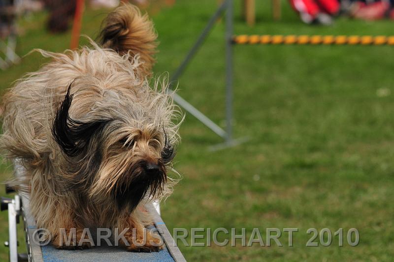 DSC_6776.jpg