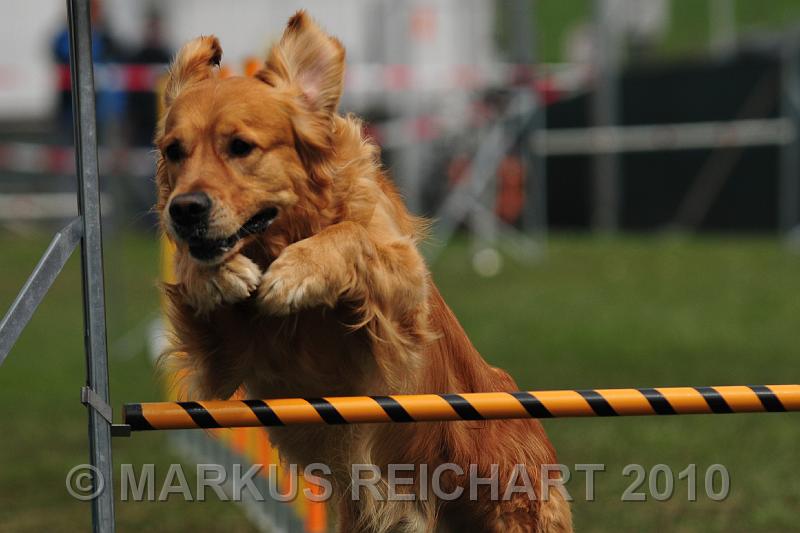 DSC_6782.jpg