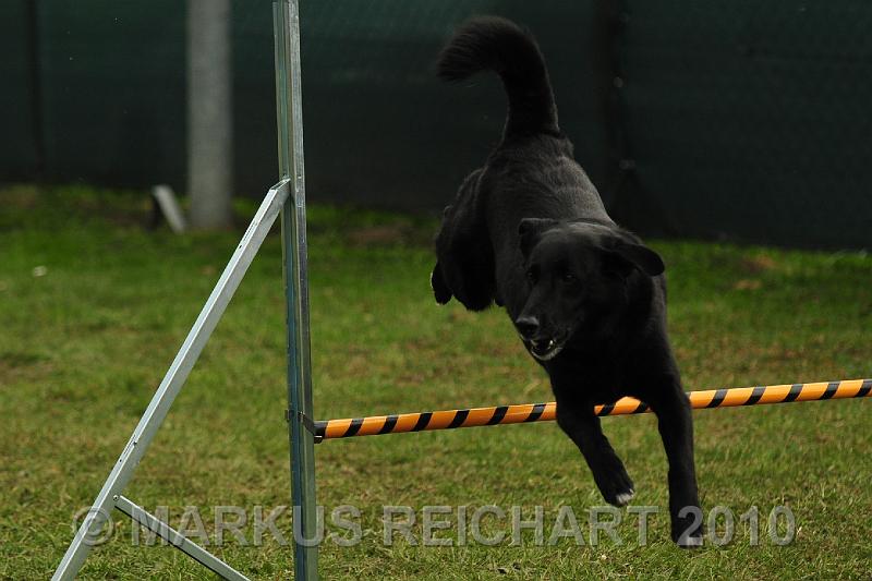 DSC_6856.jpg