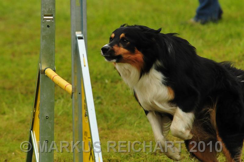 DSC_7434.jpg