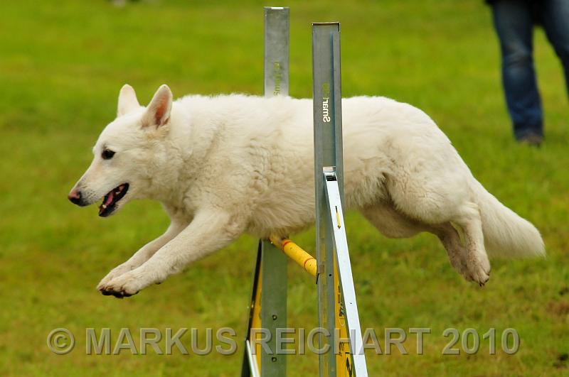 DSC_7437.jpg
