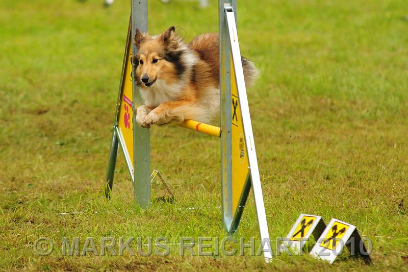 DSC_7501.jpg