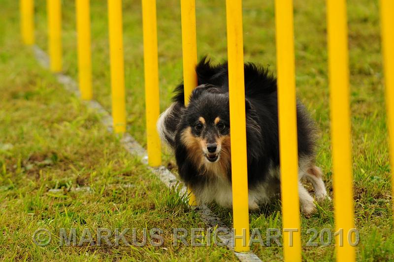 DSC_7519.jpg