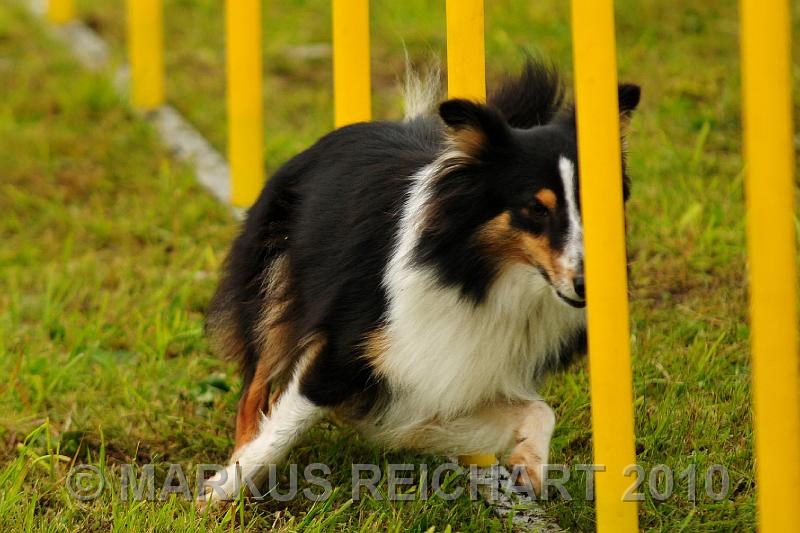 DSC_7543.jpg