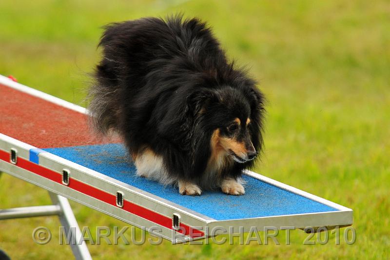 DSC_7691.jpg