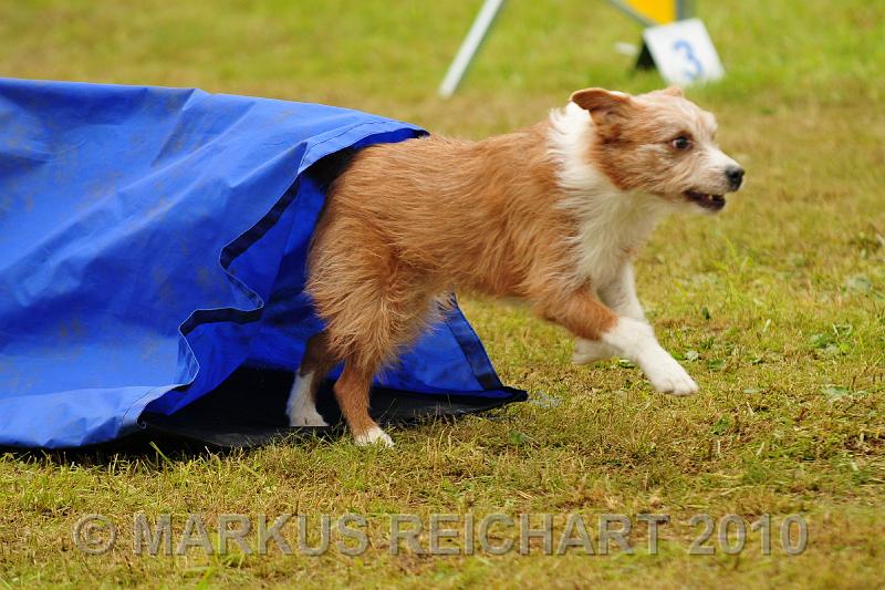 DSC_7709.jpg
