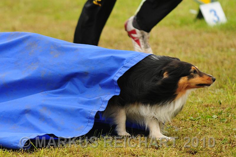 DSC_7711.jpg