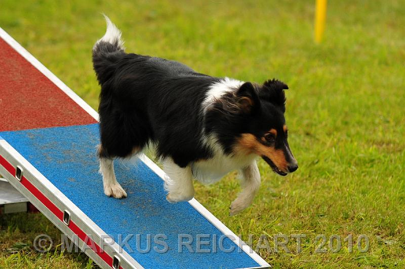 DSC_7724.jpg