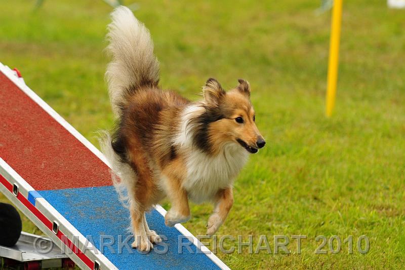 DSC_7731.jpg