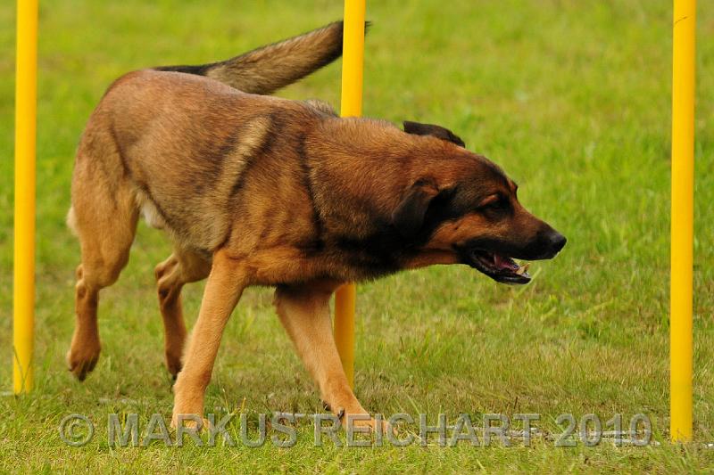 DSC_7752.jpg