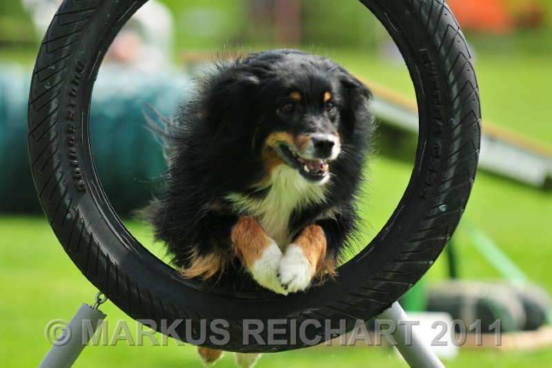 MGR_8848.jpg - M G REICHART