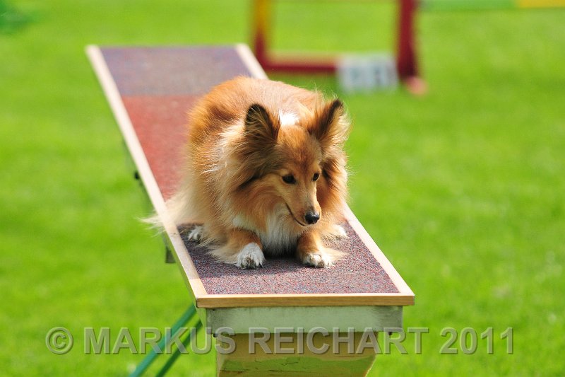 MGR_8869.jpg - M G REICHART