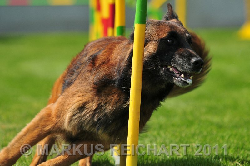 MGR_8959.jpg - M G REICHART