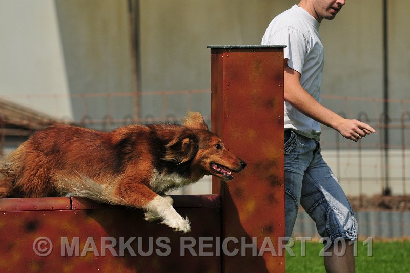 MGR_8998.jpg - M G REICHART