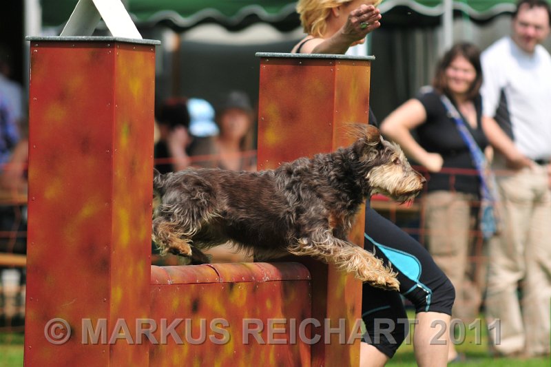 MGR_9039.jpg - M G REICHART