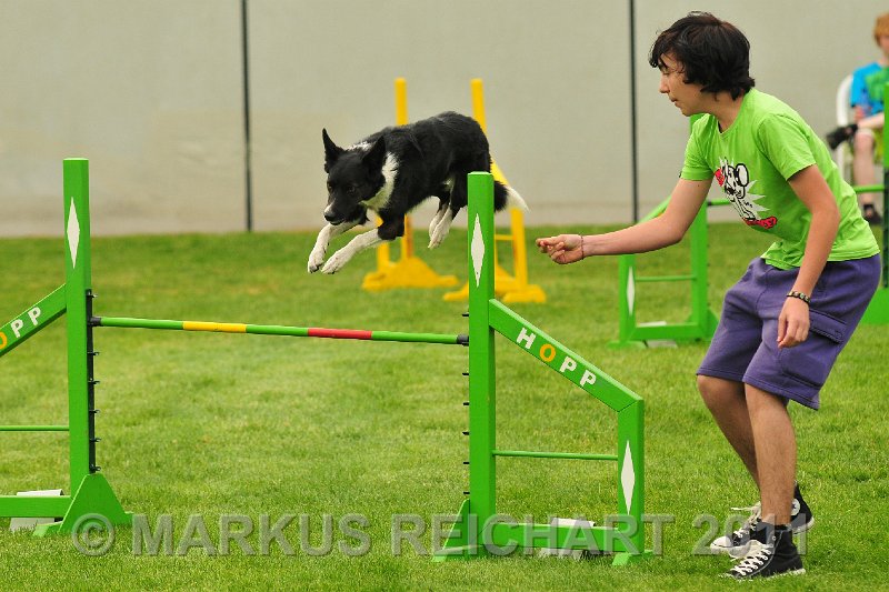 MGR_9381.jpg - M G REICHART