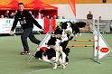DSC_0926-