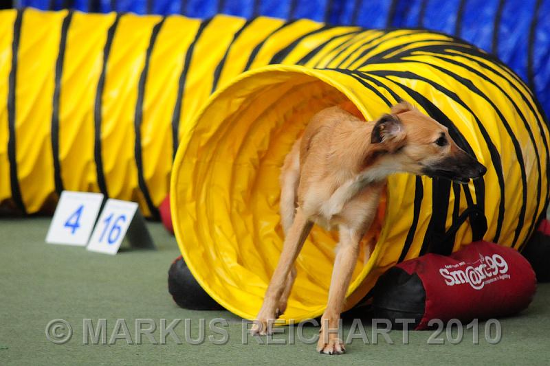 DSC_4463.jpg