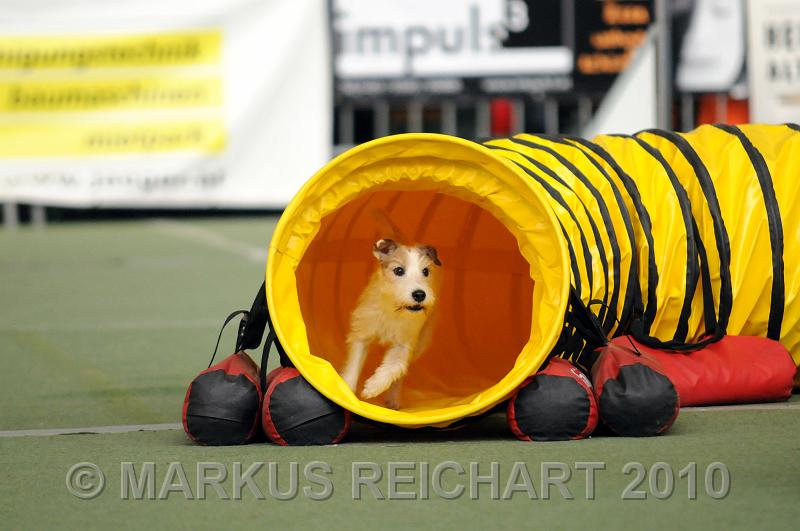 DSC_5114.jpg