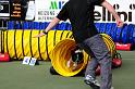DSC_4595-