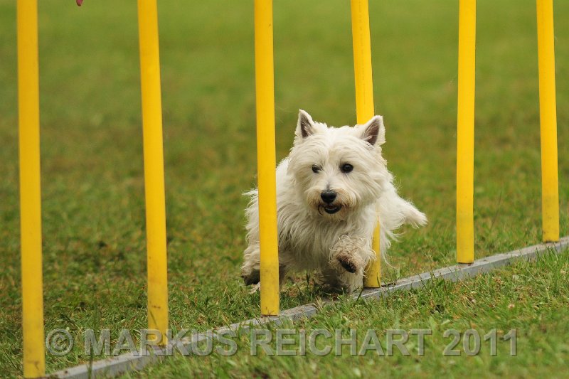 MGR_0047.jpg - M G REICHART