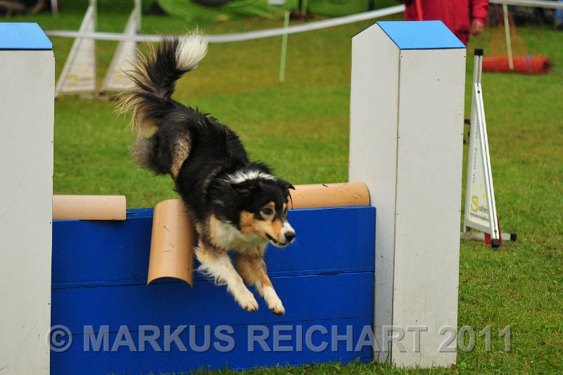 MGR_9537.jpg - M G REICHART
